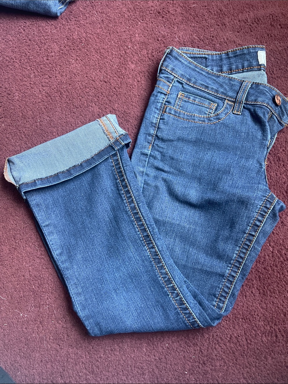 Daytrip Women's Blue lynx Flare Jeans